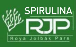 رویای جلبک پارس