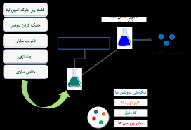 رویای جلبک پارس